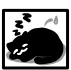 Cat Nap