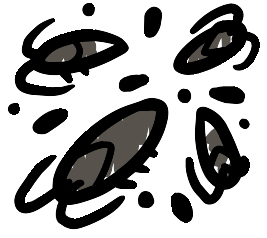 Cockroach Infestation